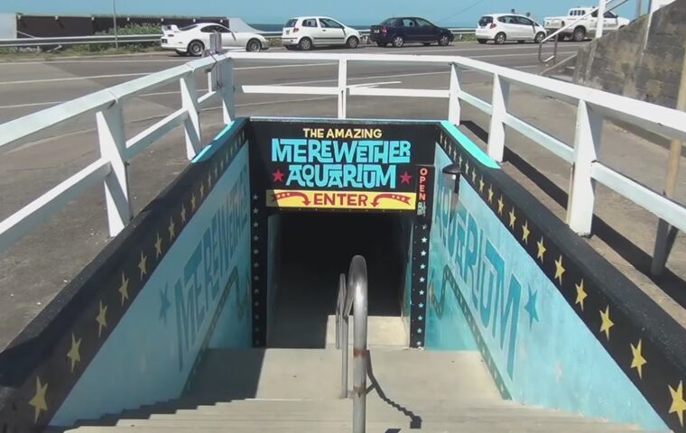 merewether-aquarium