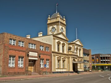 maitland-business-chamber