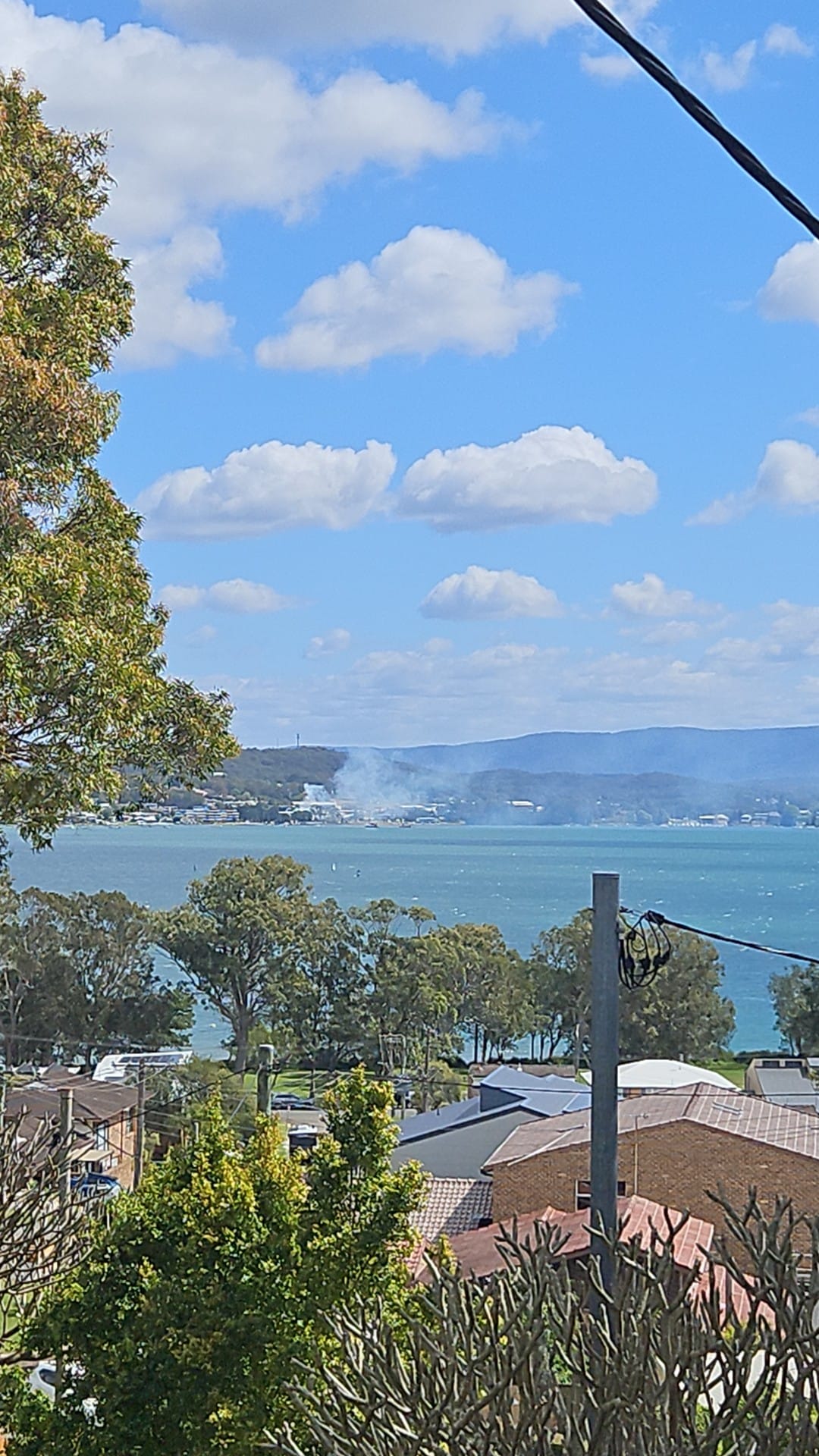 Image of the Toronto fire from the distance. Image by Bryce Patrick