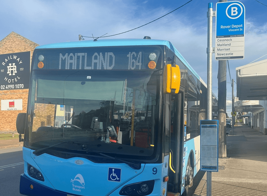 maitland-bus