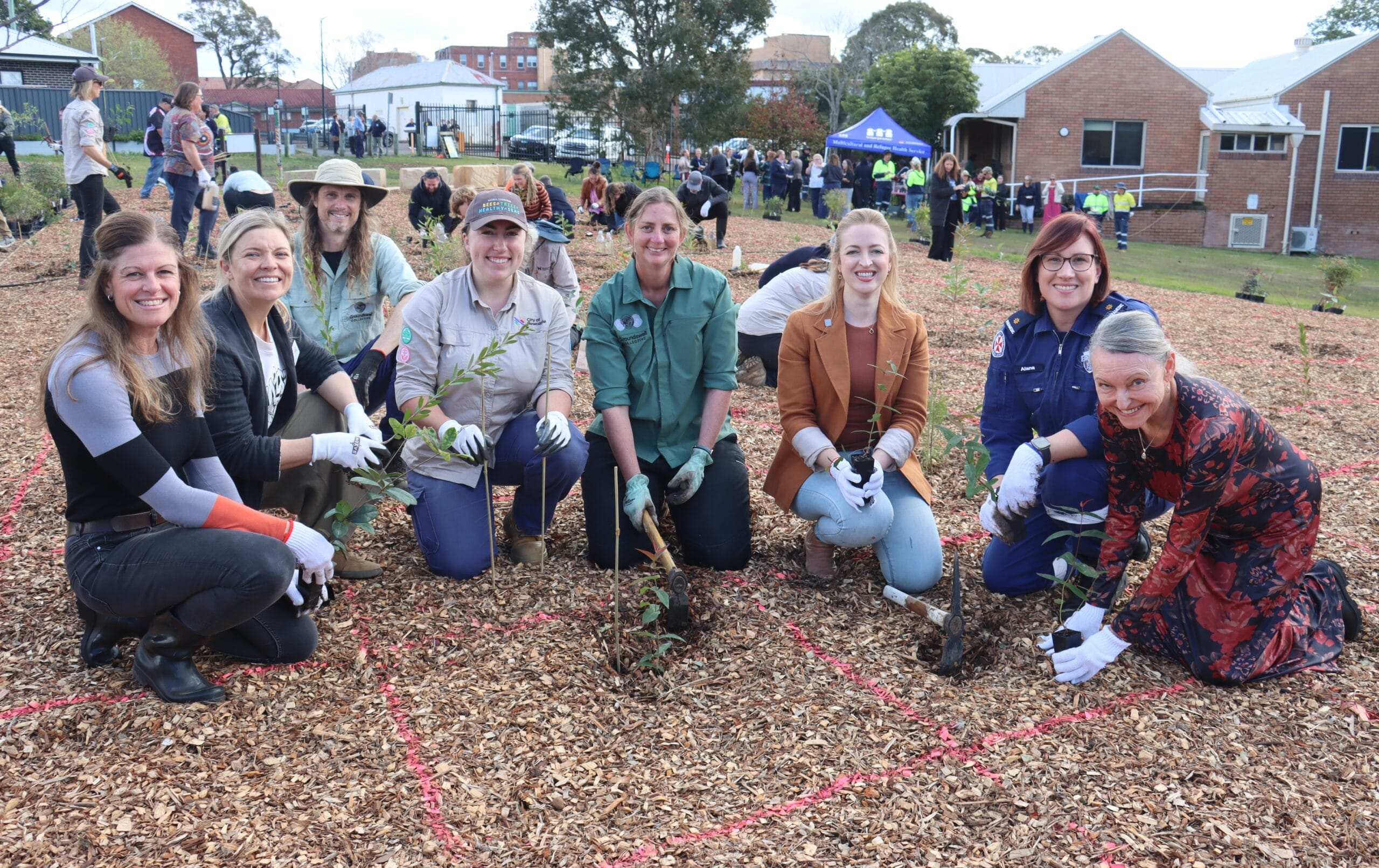 28950_Greening Wallsend project