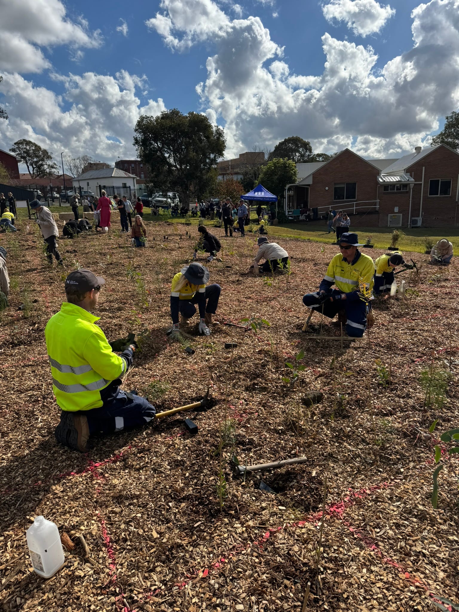 greening-wallsend