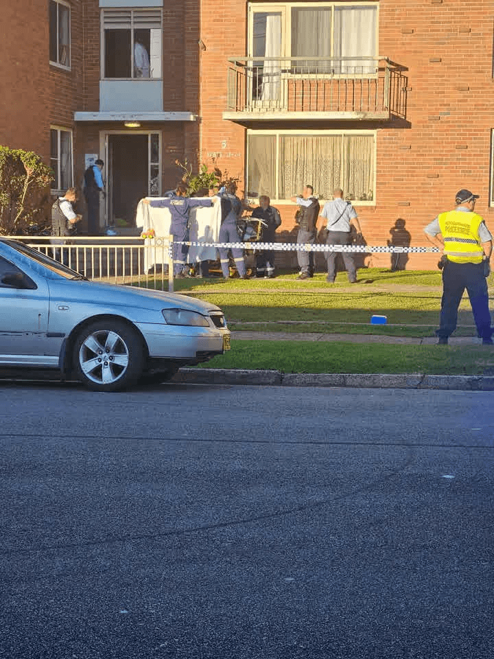 hassall-street-hamilton-south-stabbing