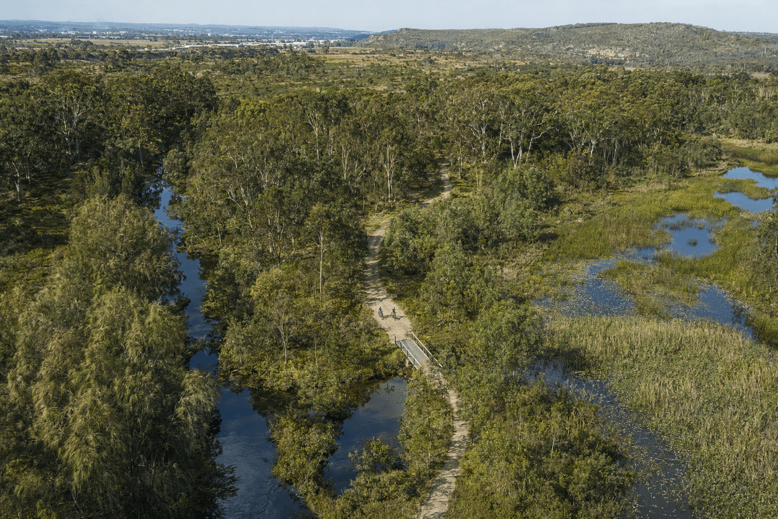 macquarie-figure-19