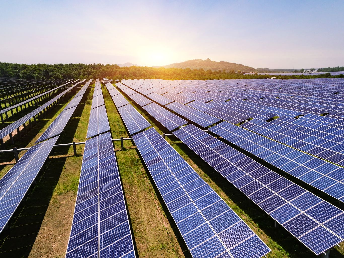 solar-farm