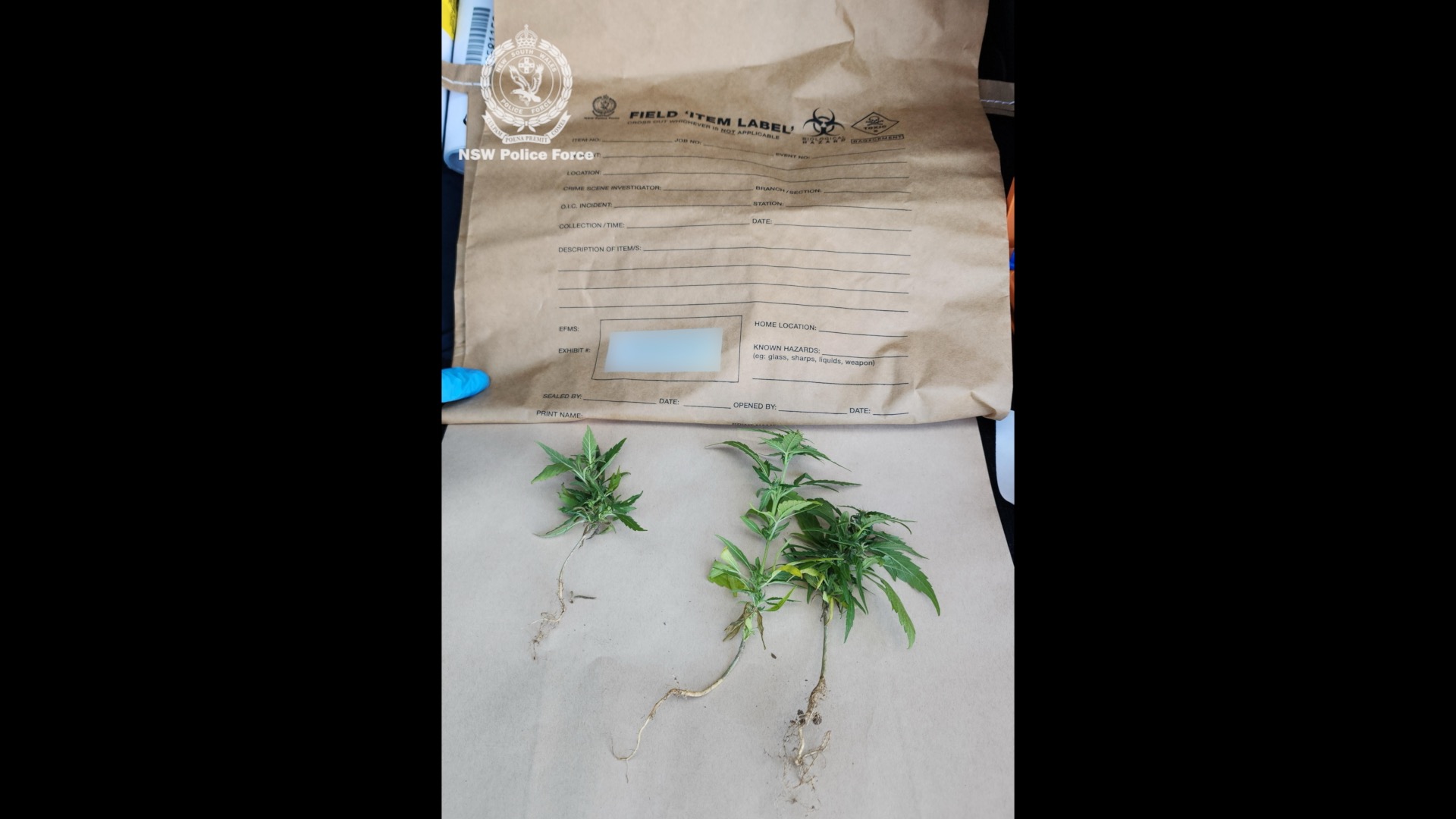 muswellbrook-stabbing-4