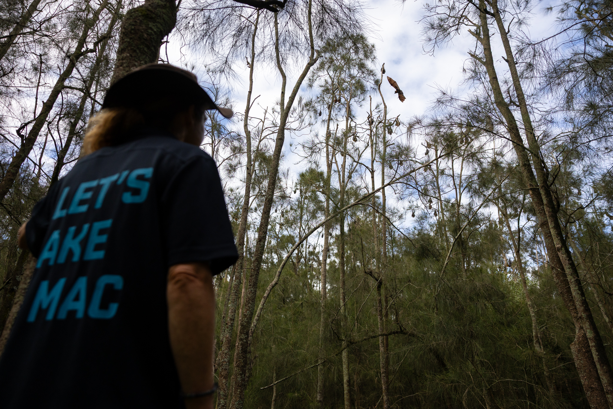 33050_Natural Assets Officer Melina Beecroft at the Blackalls Park flying fox site